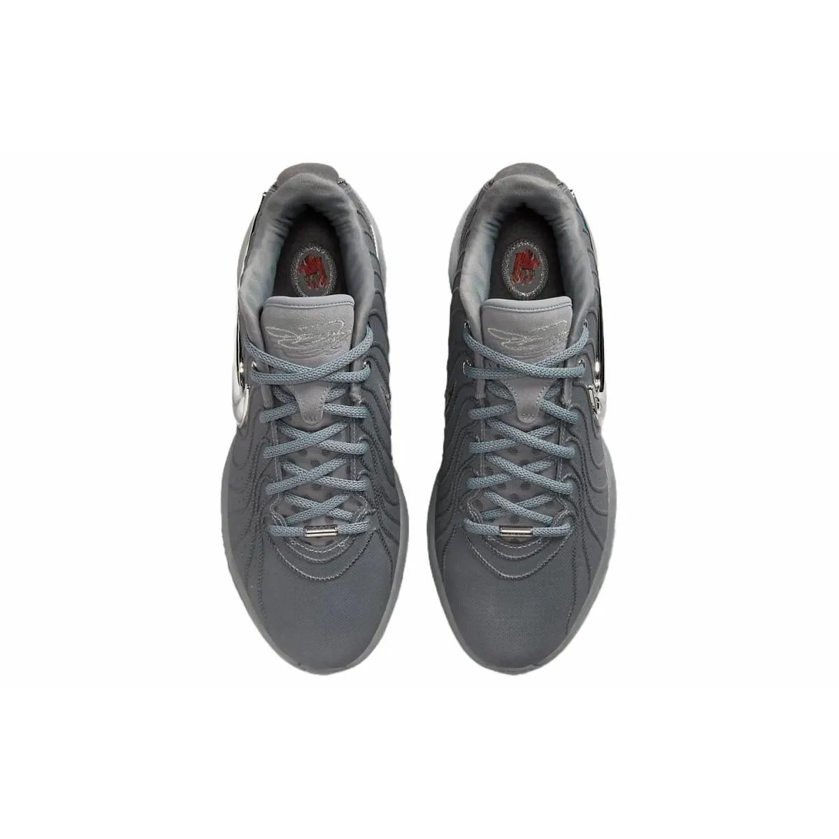 Кроссовки Nike Lebron 21 Zoom Silver/Gray