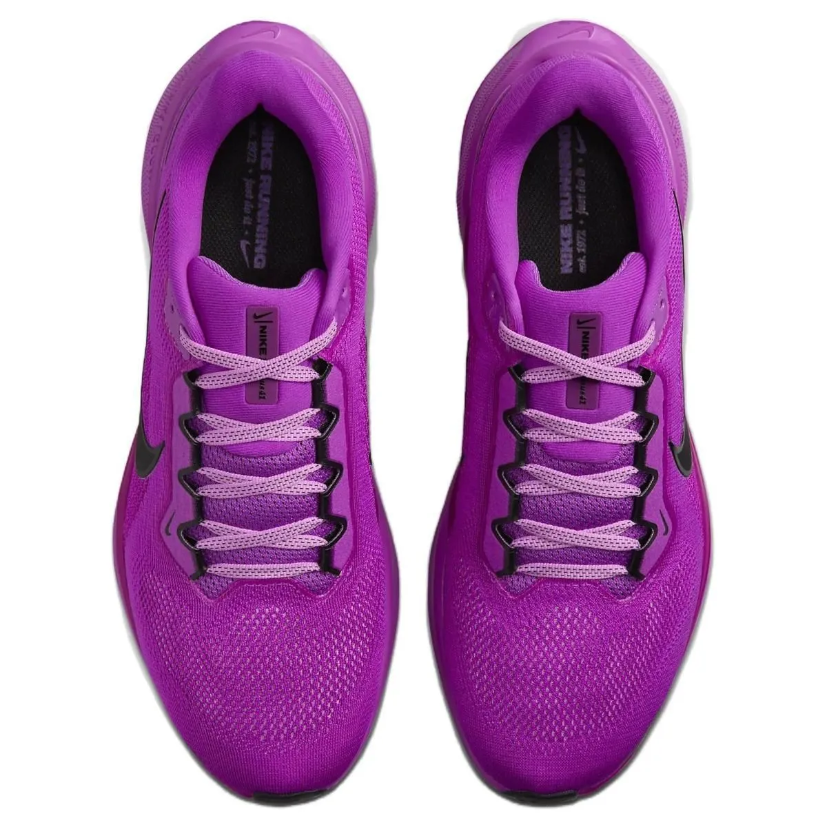 Мужские кроссовки Nike Pegasus 41 Purple