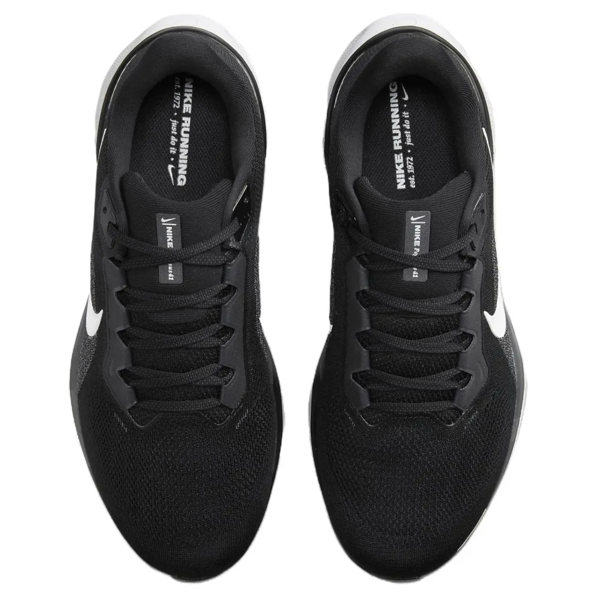 Мужские кроссовки Nike Pegasus 41 Black/White