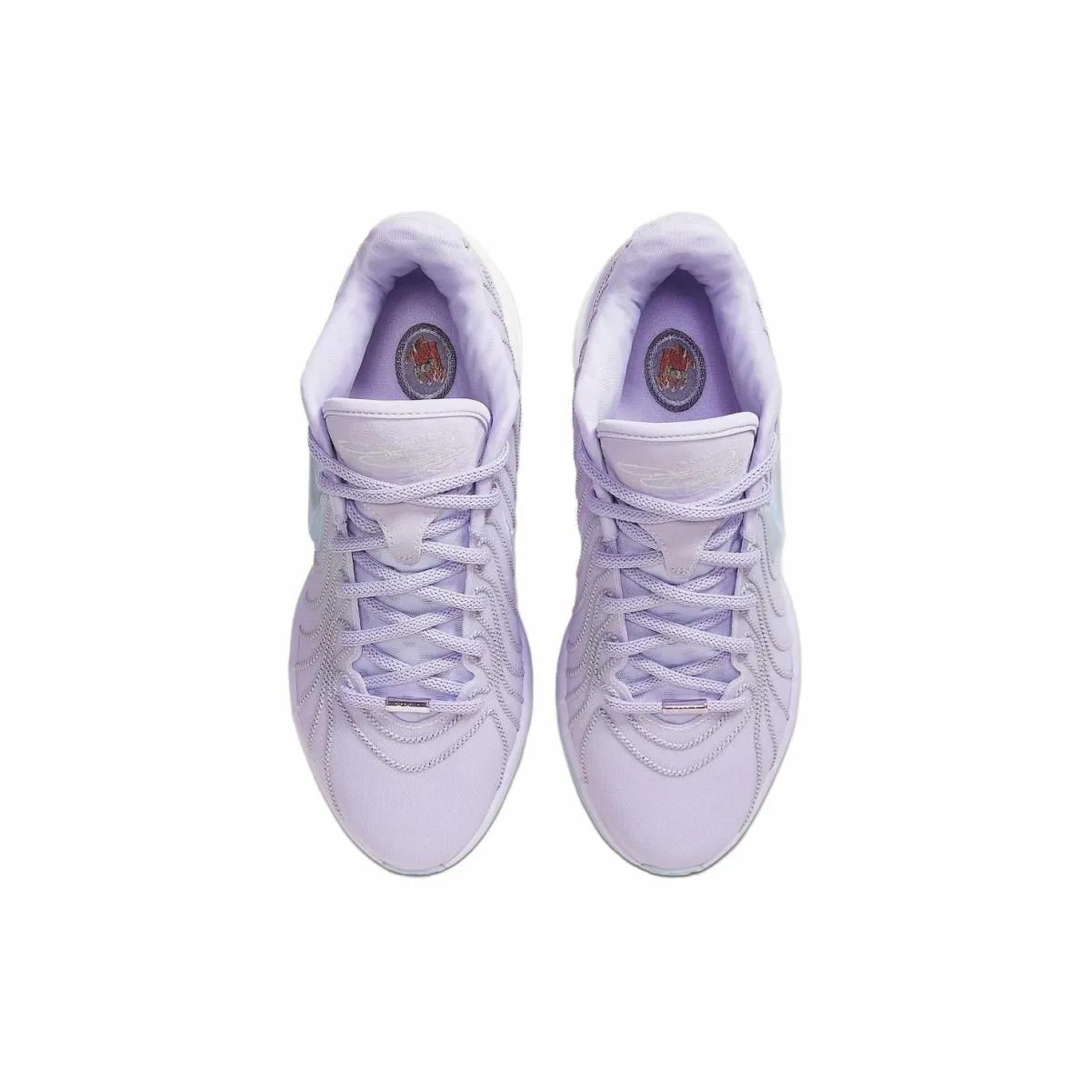 Мужские кроссовки Nike Lebron 21 Purple