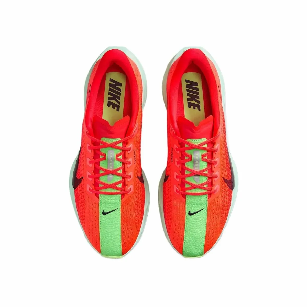 Мужские кроссовки Nike Pegasus Plus Red/Black