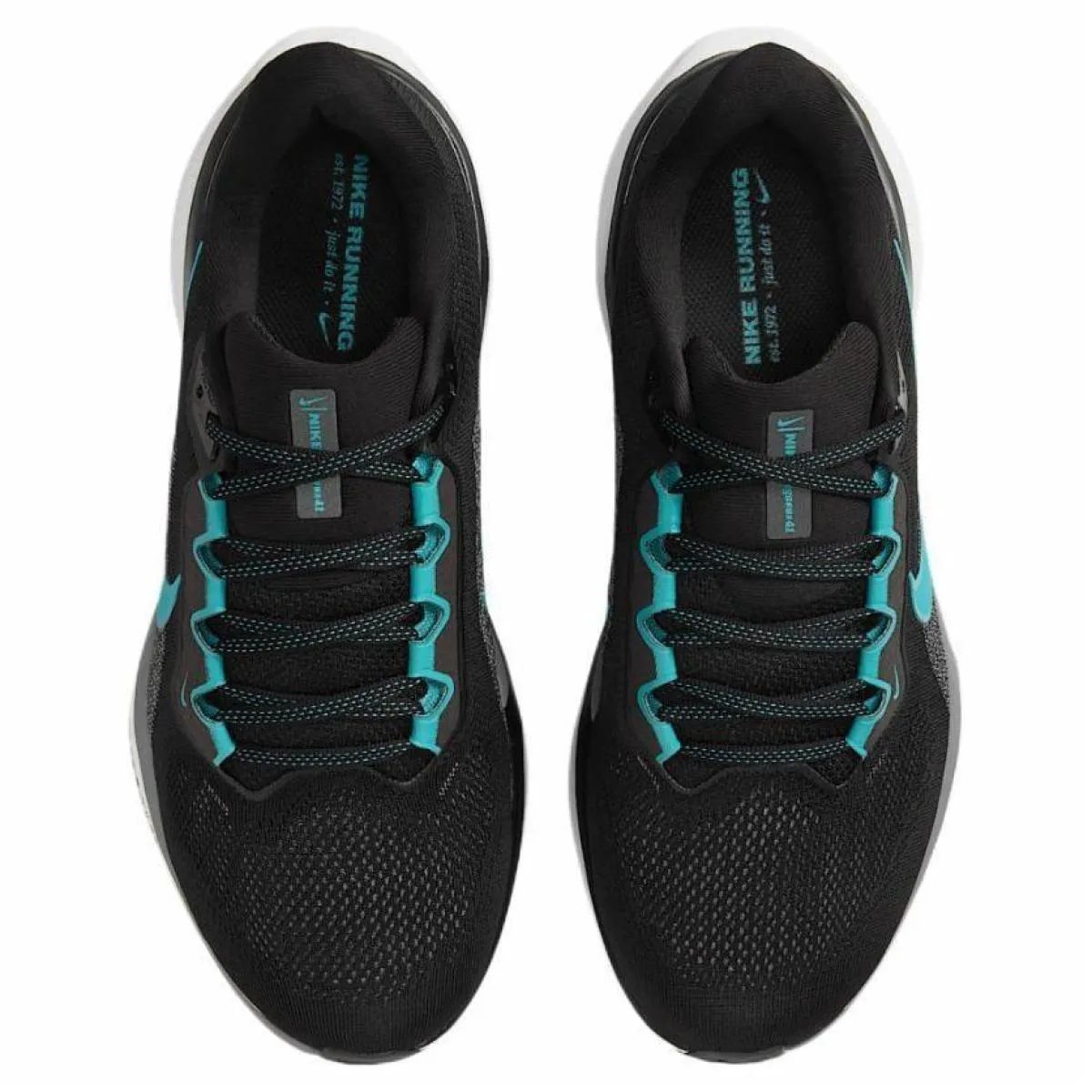 Мужские кроссовки Nike Pegasus 41 Black