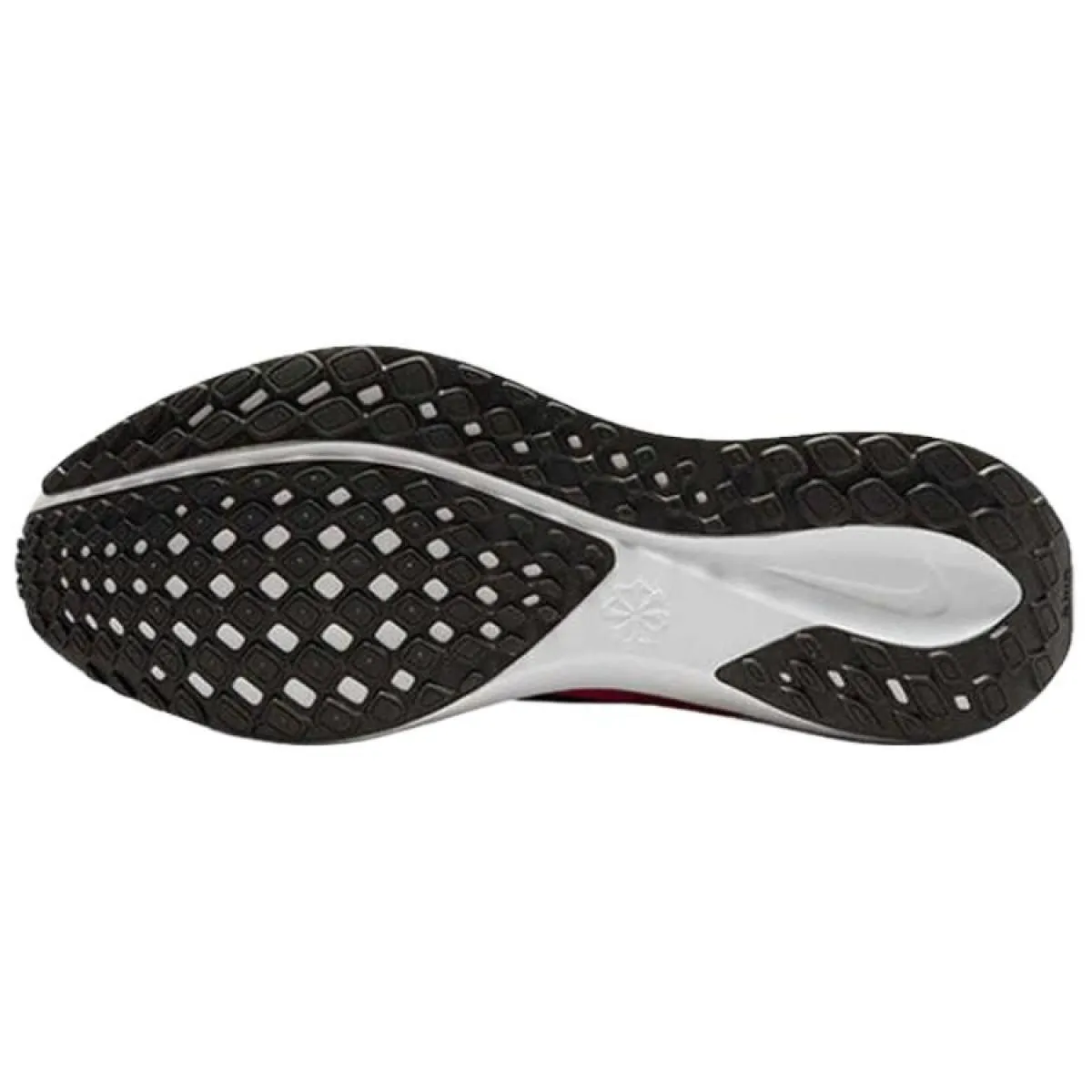 Мужские кроссовки Nike Pegasus 41 Pink