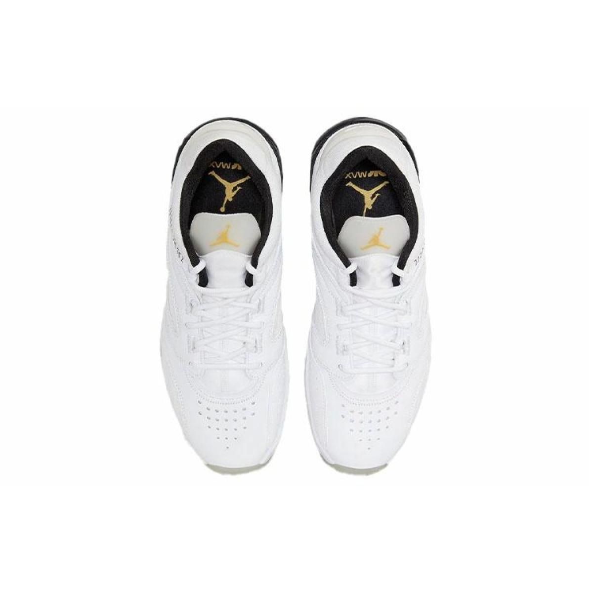 Мужские кроссовки Air Jordan Point Lane White/Black
