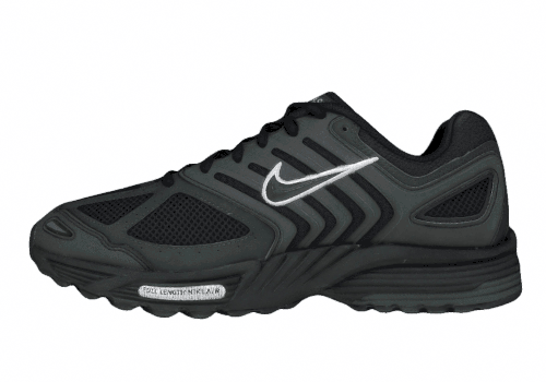 Мужские кроссовки Nike Air Pegasus 2K5 Black/Silver