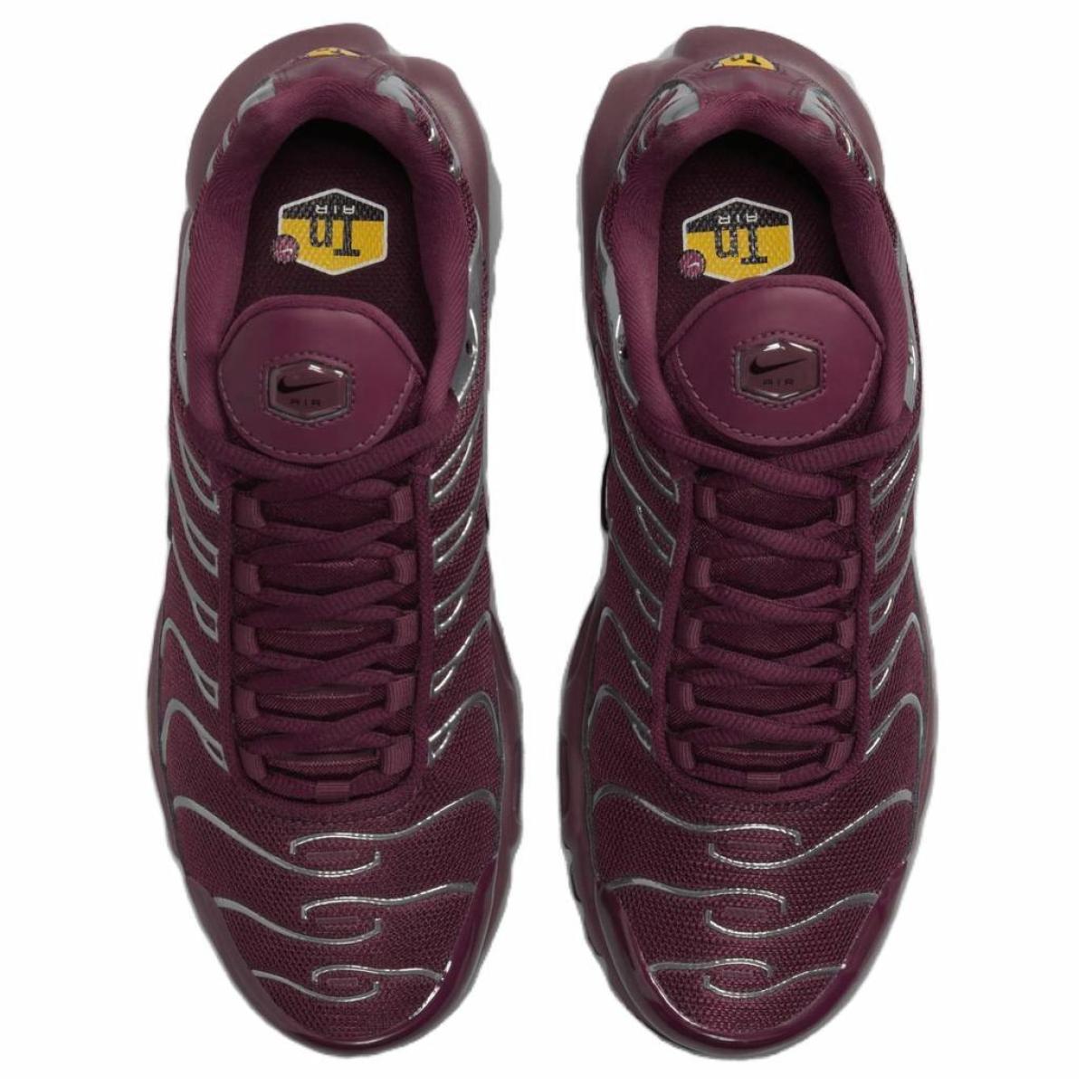 Женские кроссовки Nike Air Max Plus Brown