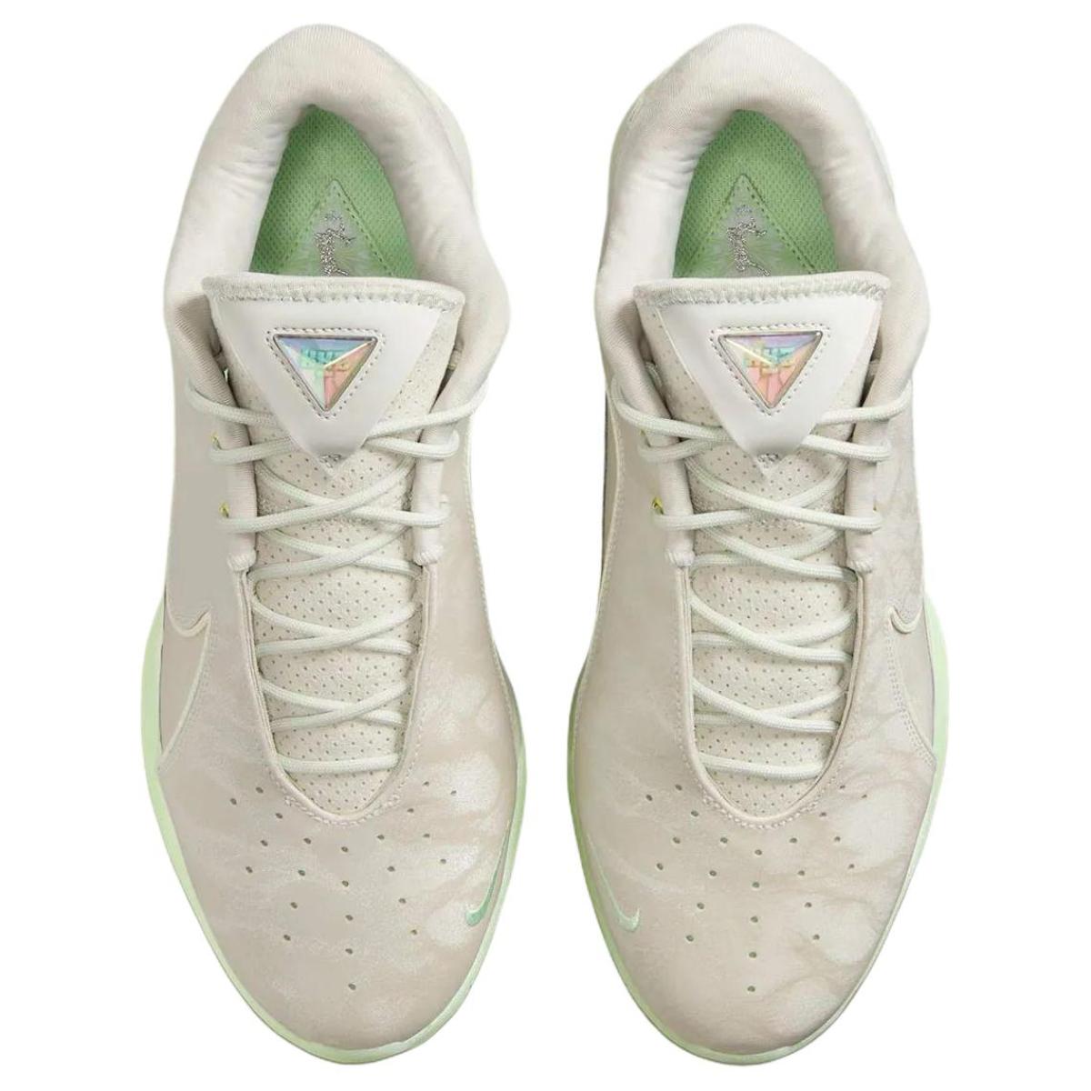 Мужские кроссовки Nike LeBron 22 Dunkman Grey/Green
