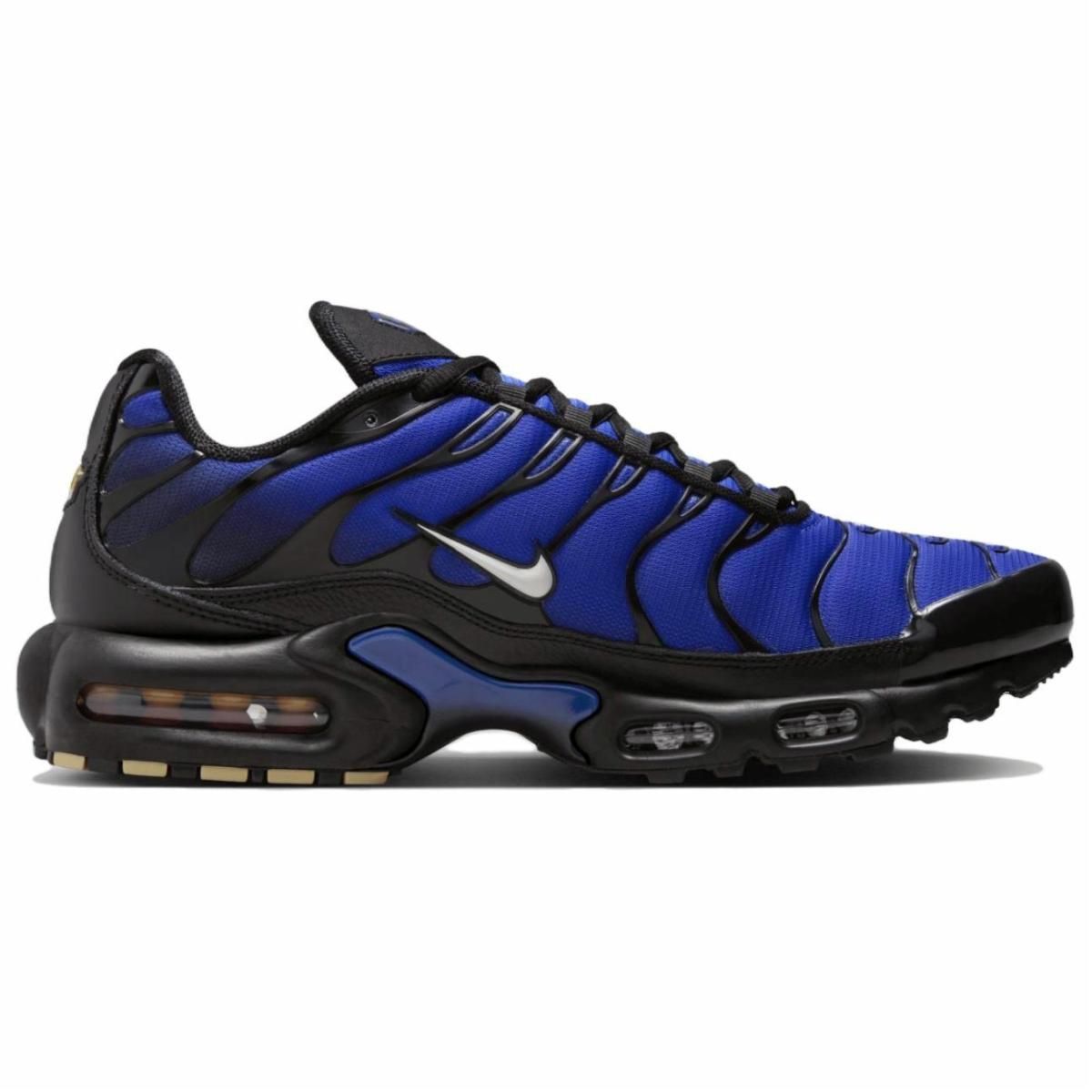Кроссовки Nike Air Max Plus Blue/Black