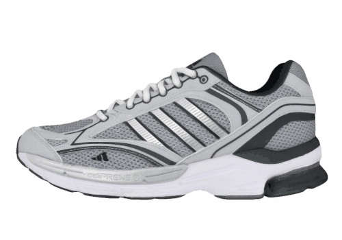 Кроссовки Adidas originals Spiritain 2000 Grey/Silver/Black