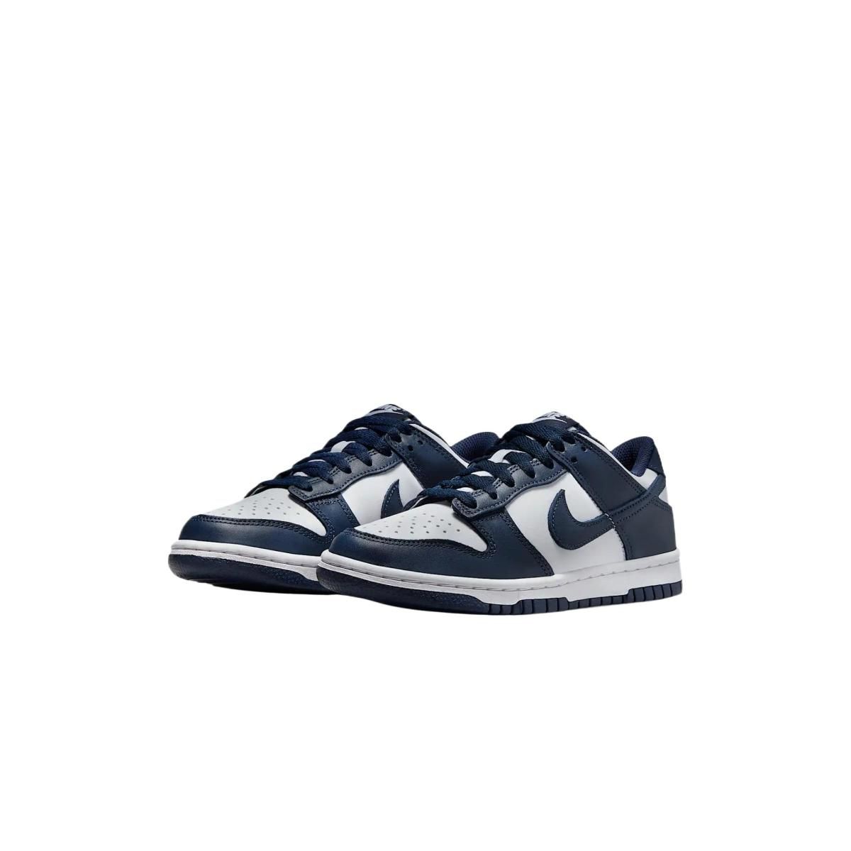 Подростковые кроссовки Nike Dunk Low Blue