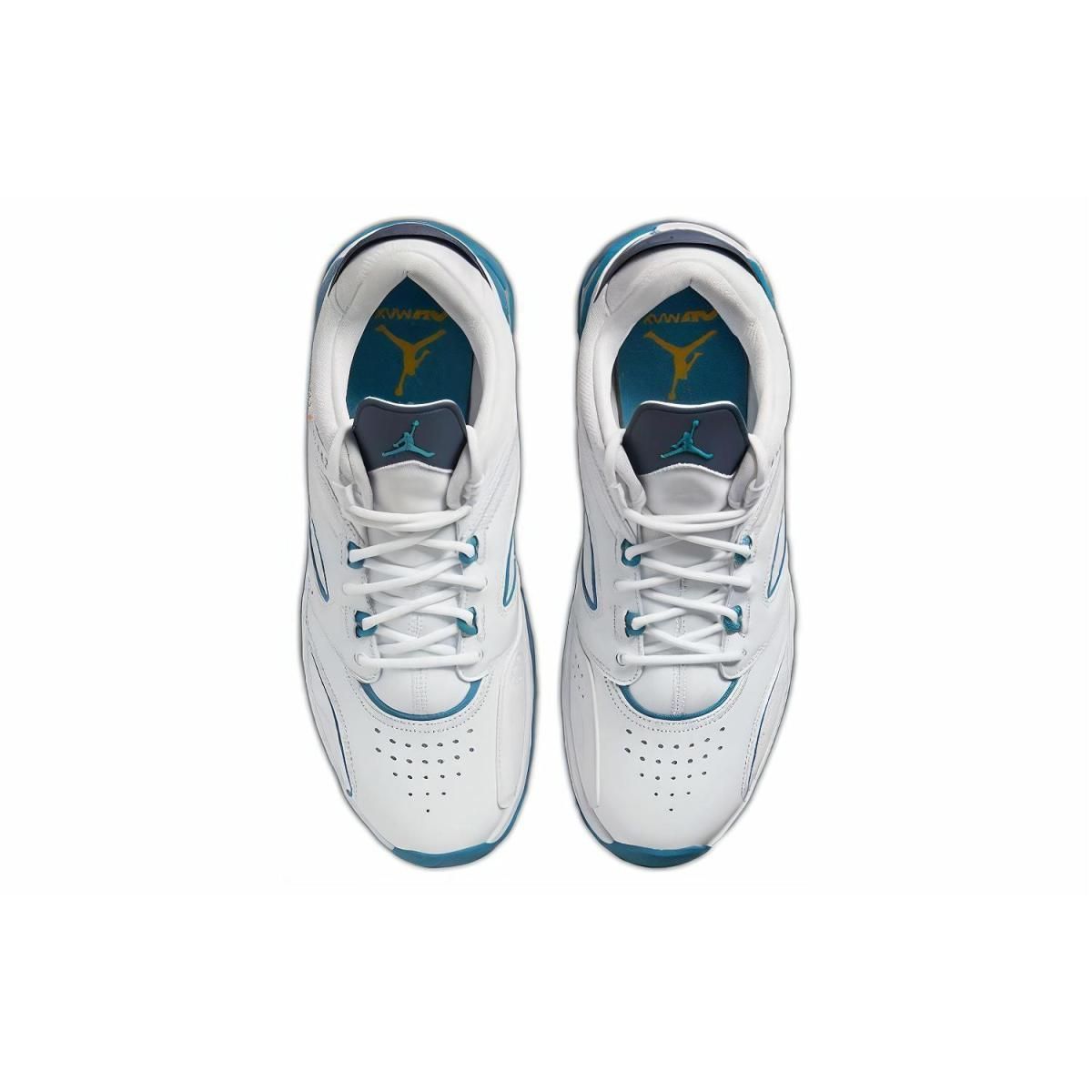 Мужские кроссовки Air Jordan Point Lane White/Blue