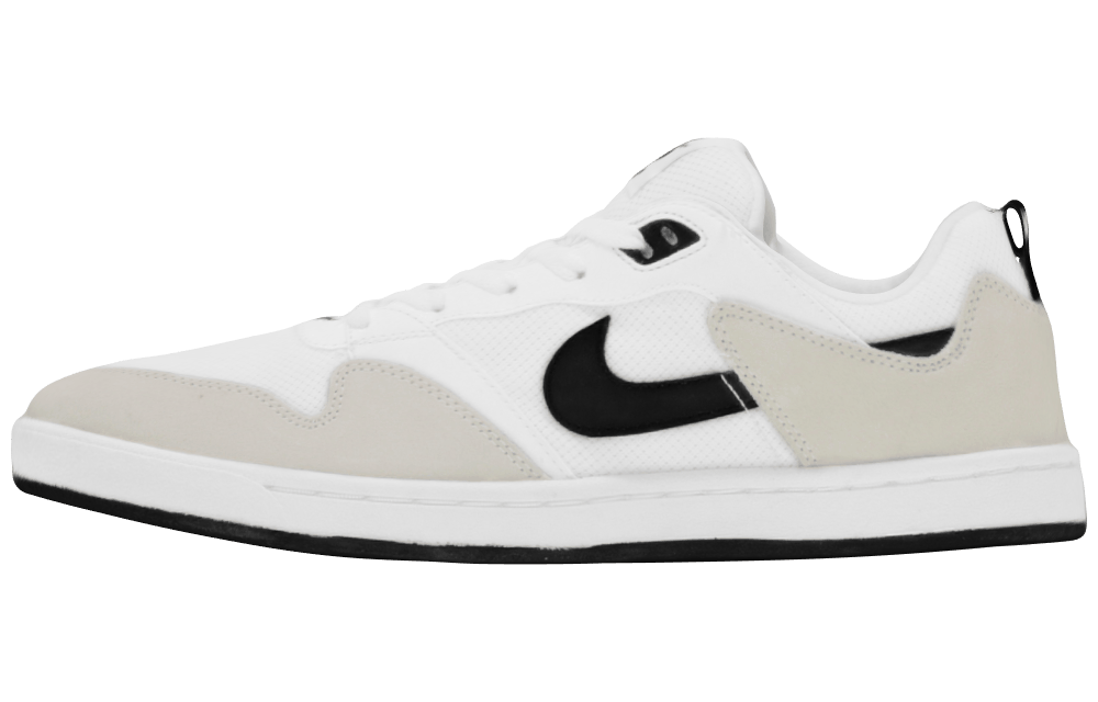Мужские кроссовки Nike SB Alleyoop White/Blue