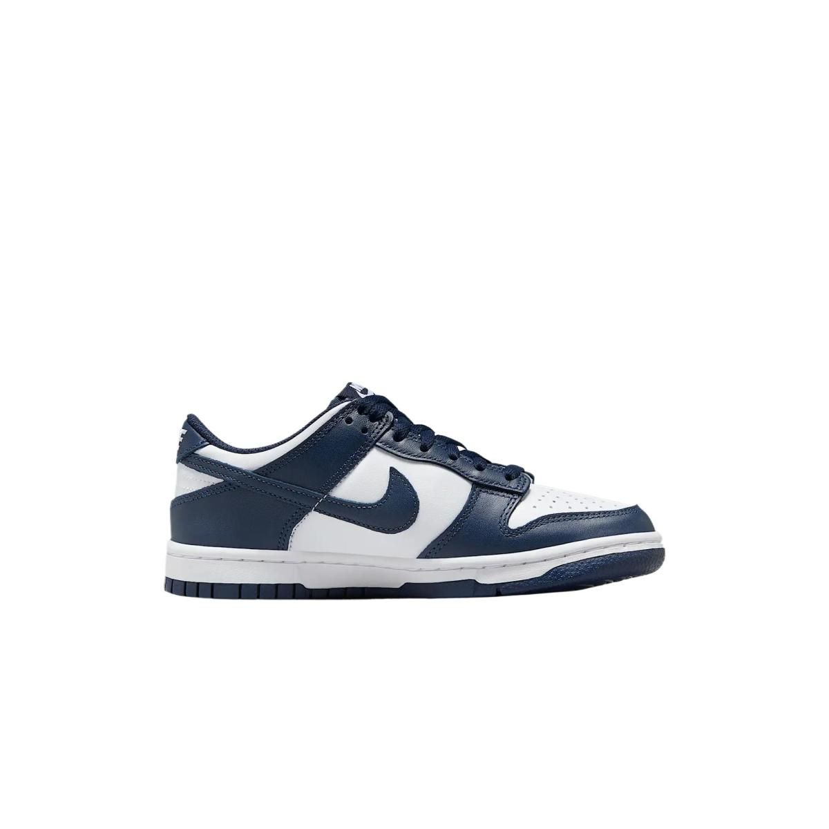 Подростковые кроссовки Nike Dunk Low Blue