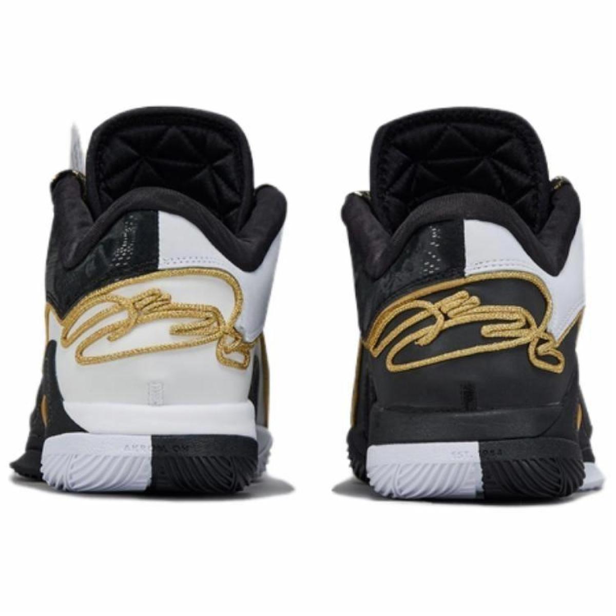 Мужские кроссовки Nike LeBron 22 Black/White
