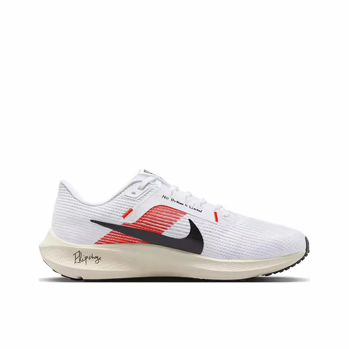 Кроссовки Nike Air Zoom Pegasus 40 White