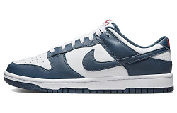 Мужские кроссовки Nike Dunk Low Retro "Valerian Blue"