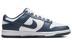 Мужские кроссовки Nike Dunk Low Retro "Valerian Blue"